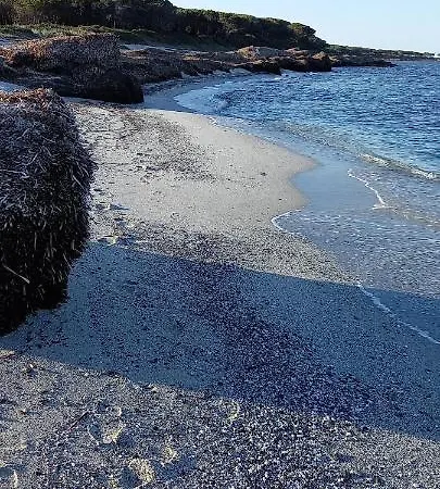 Casa Vacanza Autonoma Immersa Nel Verde *