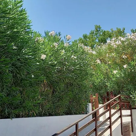 Lejlighed Casa Vacanza Autonoma Immersa Nel Verde