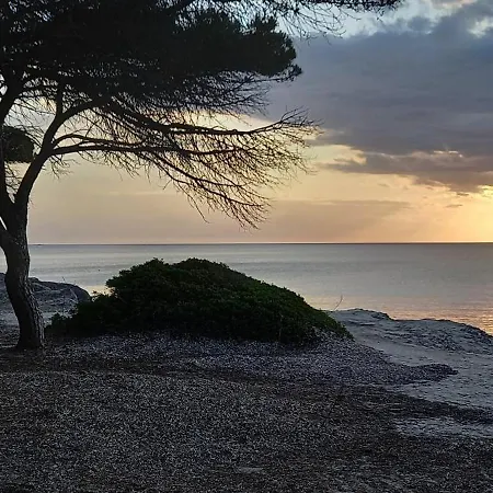 Casa Vacanza Autonoma Immersa Nel Verde * Budoni